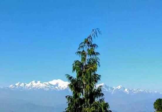 The Mountain View Darjeeling (West Bengal) Exterior photo